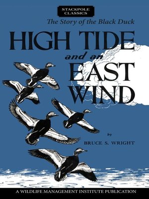 cover image of High Tide and an East Wind